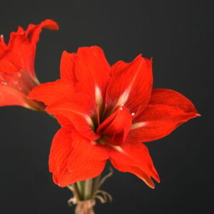 IWiiIdA}Xep[v[t_ufiАYj@1