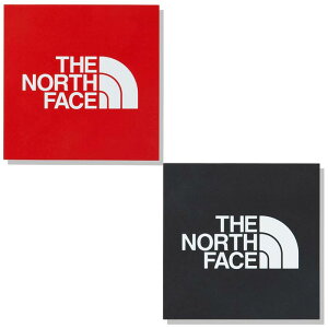 UEm[XEtFCX TNFXNEFAS ~j NN32015 TNF SQ LOGO MINI ubN bhNAXyԕisz