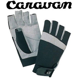 Lo CRVN0003613 (190ubN) kO[uv (yA)  tBK[X [v[N Y fB[X kނ A[tBbVO