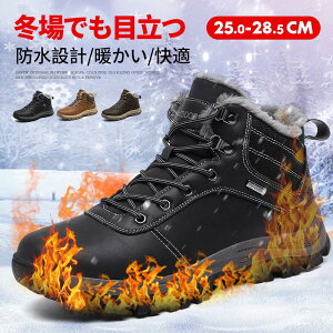 Y Xm[u[c N L C h ȌC EB^[u[c nCJbg ~p V[g h y AEghA ubN