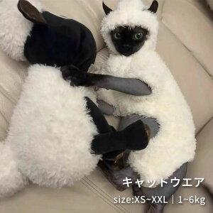 XtBNXL ybg  R {A  ArVjA _炩 g L ӂӂ f{bNX LbgEFA