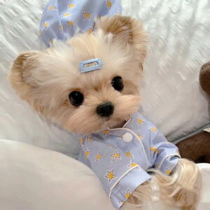 Aj  QԒ CX^f  pW} ybg L 񂿂 LN^[ ɂ ₷ ㉺Zbg ؍