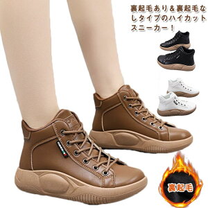 pvX ₷ nCJbgXj[J[  RtH[gV[Y ₷ H~ EI[LOV V[gu[c