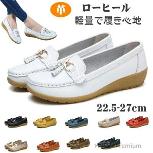 Ey₷ tbg hCrOV[Y _炩V[Y {v JWA pvX fB[X p JV