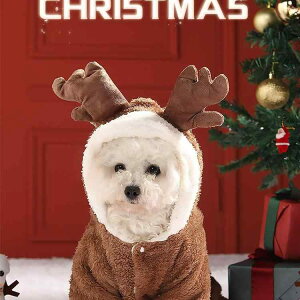 ^   Lp ^ ё΍ H~ lr ybg  |GXe h 킢 NX}X