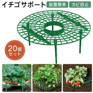 x C`SI ݒuȒP ~` yʎ 20Zbg C`ST|[g C`SU Ax Xgx[T|[g 䕕cI