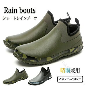 JWAV[Y T_X CV[Y V[gCu[c JC x[V[gu[c fB[X Y h ƌC