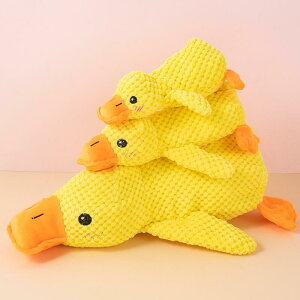 XgX Aq p  |GXe Lp ނ ʂ