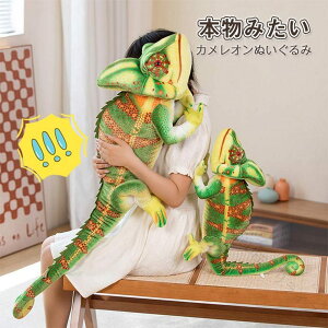 { ʂ  傫 Aj} gJQ lC A  ঒ Nb  ybg JI Ƃ 