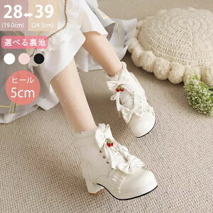 LbY { u[c [X fB[X 5cmq[ C  l B^  V[g q Pl ҂ݏグu[c