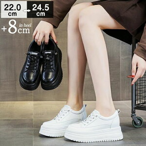 gAbv q[Xj[J[ r lC r fB[X EH Cq[Xj[J[ V[NbgV[Y [Jbg UP