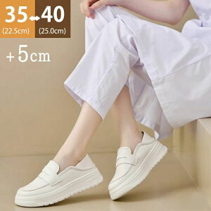 V C r ɂȂ ʋC y h fB[X 5cmq[ É Xb|   L [t@[ Ȃ Xb|