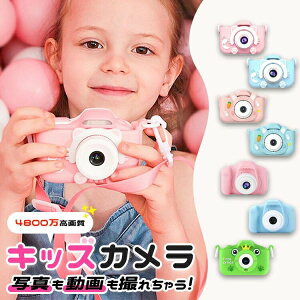 qp y4800掿zLbY gCJ Xgbv  Q[ ǂ B fW^J SDJ[ht J 