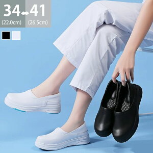  y É fB[X ƌC Y ×p NbV y Ȃ Ռz  ʋC Xb| V[Y