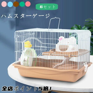  GTM 񂵎 ʋCQ  傫 炩 gȒP L P[W 6Zbg |Cg5{ nX^[nEX 2K ^