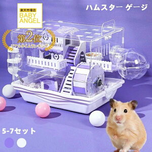 񂵎 ^  傫 ʋCQ 2K  7Zbg {E 炩 nX^[nEX L P[W GTM gȒP