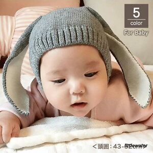 xr[  ETM  h Ԃ  Xq  ̎q t jbgX jbgLbv j̎q  qp