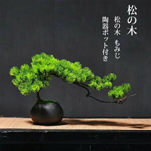 lHϗtA t[|bg tFCN  tFCNO O[ ̖  ݂ 㕗 JGf lH lH ~ lHgt