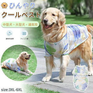  ^ ^Ngbv Ђ ^ hbOEFA Vc ĕ  N[xXg h Ăh ⊴  Nꃋ