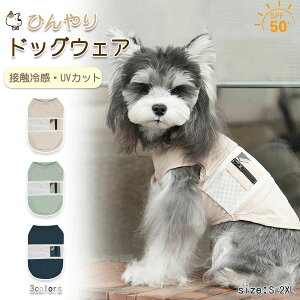 Ђ  N[ hbOEFA  ⊴ ^Ngbv ڐG⊴ xXg  uvJbg  Nꃋ  ybgEFA ⊴