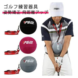 XCO p S K  XCO 򋗗Abv {[ XCO p  {fB^[ g[jO{[