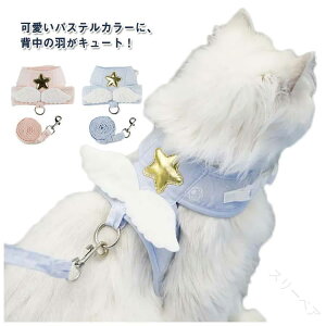 [h xXg n[lXZbg L Vg̗ L H ĕt  j[NȃGWFfUC Lpn[lX n[lX