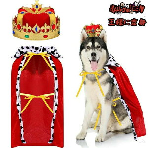 RXvߑ EBbO ybg nEB ql 2_Zbg |` LpXq 蕨 l }g pXq ϐg ybgEBb