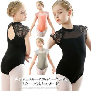 XJ[ oGK [X oG ̑ ʋCQ 180 qǂ  WjAp Kp ubN LbY q _X 150