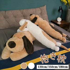 ܂ Ck hbO  ܂ ʂ    킢 ܂ ߋ  