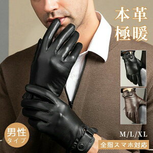 oCN  ʋ ] 20 U[O[u N hΉ ގ j v 11/14܂ŁzY 40 h ] 