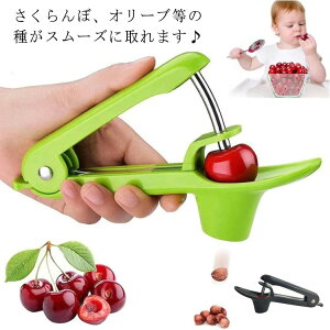 �`�F���[�p �I���[�u �������ڗp �ʕ������ �������ڂ̎���� �~�̎���� �֗� AB ����� �j���� �`�F���[�s�b�^�[