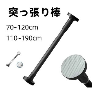 XeX  hsv ߊȒP ~ ς_   sv Lk_ zc ̂ق 󕨊