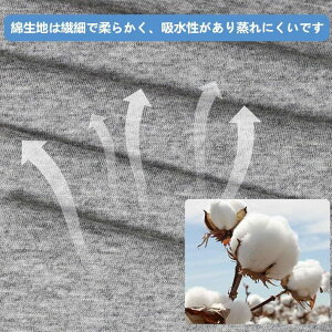 ppW} hV[c  ARh~ Pbg ˂ z h Y{  ނ Y{ V[c ˂V[c l