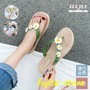  Xbp r[` ̎q  ɂȂ C fB[X r[`T_ V T}[T_ JWA ][g C r