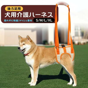  ⏕n[lX p V ͂Ȃ p T|[^[ s 둫   pn[lX wjA s⏕