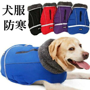 ^  U ȕ WPbg ȓ  hxX hbOEFA іh~ ^ ~ ȃxXg {At ^