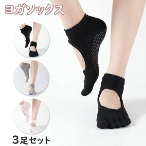 3Zbg K\bNX g[jO ܖ{w ~ C ܐ悠 fB[X 5{w\bNX K X|[c KEFA