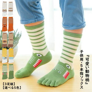 ̎q nC\bNX LbY y3gzq C X|[c\bNX ܖ{w\bNX  5{w j̎q qpܖ{w\bNX