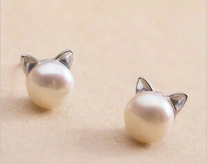 lR Vo[ Pp[ fB[X Vo[925 AM X^[OVo[ sAX ˂ |XgsAX L