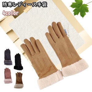 O  n h  XEF[h Vv lq TCNO AEghA g H~p XG[h fB[X