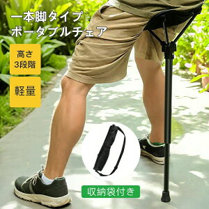 y X^fBO`FA RpNg`FA ܂肽 {֎q AEghA`FA 肽݂  1|[ `FA