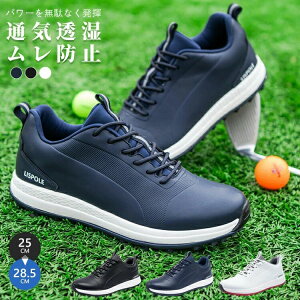 y \tgXpCN ϖ ʋC AEghA h ^C h Y Ch X|[c 傫 XpCNC Obv Xj[J[