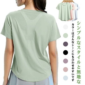 TVc TV ʋC fB[X obNC[hJbg\[ X|[cEFA KEFA gbvX tBbglX 