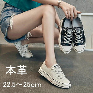 ₷ _炩 EH[LO RtH[gV[Y  ^C X|[c {v V[Y y JW fB[X Xj[J[