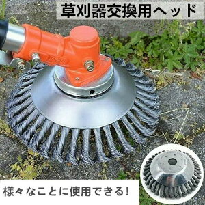 g}[ @p`bv\[ @`bv\[ GN[jOc[ u[h ւn @  `bv\[ ւn