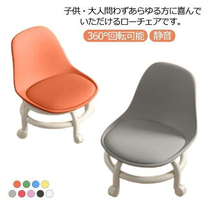  [^Cv [`FA LX^[t w Ɨp h 360°]\ _炩 ֎q Ⴂ Xc[ rO É