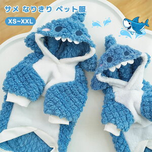 g n[lX Ȃ肫 hbOEGA h~ ӂӂ   ^ L ^ H~ EȒP   T