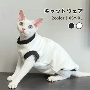 XtBNXL ~  f{bNX _炩 L  ΍ H V ӂӂ LbgEFA g[i[ 