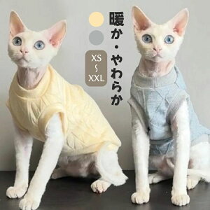 Ȃ   n XtBNXL LbgEFA f{bNX RjXт̔L H _炩 ~  L  t