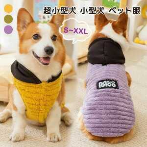 ȕ  DJt WPbg H~ U o _炩 h Xqt ӂӂ OJ p[J[ R[ ^ ^